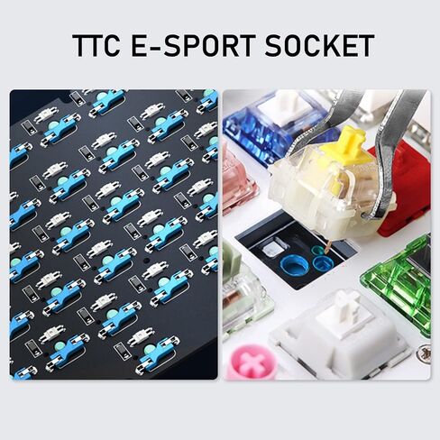 EPOMAKER CIDOO ABM084 TKL Hot Swap RGB 2.4Ghz/Bluetooth 5.0/Wired Mechanical Knob Keyboard NKRO with Poron Foam, 3000mAh Battery, Dye Subbed PBT Keycaps for E-Sport Win/Mac/Linux(Budgerigar Switch) in Kuwait