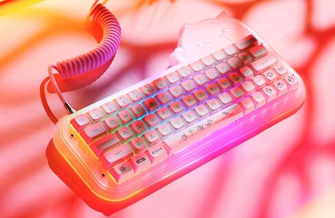 لوحة مفاتيح الألعاب الميكانيكية EPOMAKER Mini Cat 64 60% أكريليك RGB سلكية قابلة للتبديل السريع، VIA/QMK قابلة للبرمجة مع أغطية مفاتيح PBT للتسامي الصبغي لمفتاح Mac/Win/Gamers Budgerigar in Kuwait