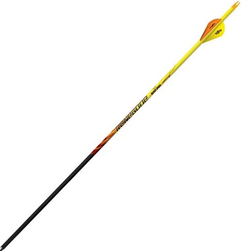 Black Eagle Renegade Fletched Arrows - 6-Pack-250 Spine-.005 +/- in Kuwait