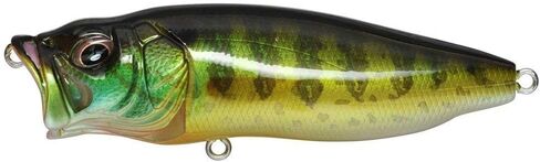 Megabass PopMax Topwater Fishing Lure - Pumpkinseed in Kuwait