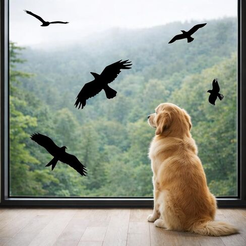 Anti-Collision Window Bird Stickers Glass Door Protection and Save Birds (Black, 9 Pcs) in Saudi Arabia