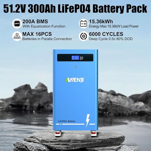 15kwh Lifepo4 48V 300Ah Lithium Battery, Build in 16S 200A BMS Deep Cycle with CAN and RS485 Communication Interface, Ideal for Home Energy Storage, RV, Solar, Off-Grid 51.2V 300Ah in Saudi Arabia