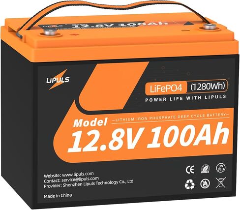 12V 100Ah LiFePO4 Battery (1Pack), Group 24 Lithium Battery, UP to 15000 Cycles, Built-in 100A BMS, Max.1280Wh Energy, Perfect for Trolling Motor, RV, Solar System, Home Energy Storage in Saudi Arabia