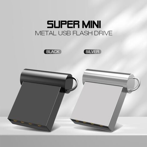 2GB USB Flash Drive with Type C Adapter and Lanyard, USB 2.0 High Speed Pen Drive, Mini Storage Memory Stick for Phone/Pad/PC/Laptop - (Silver 2GB) in Kuwait