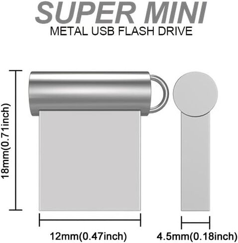 2GB USB Flash Drive with Type C Adapter and Lanyard, USB 2.0 High Speed Pen Drive, Mini Storage Memory Stick for Phone/Pad/PC/Laptop - (Silver 2GB) in Kuwait