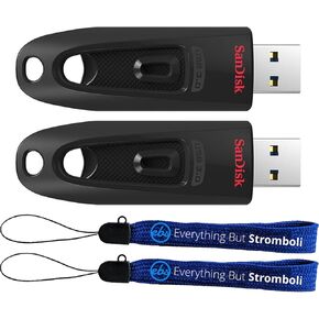 SanDisk 2 Pack Ultra 16GB USB-A Flash Drive SDCZ48-016G-U46 - Bundle with (2) Everything But Stromboli Lanyards in Kuwait