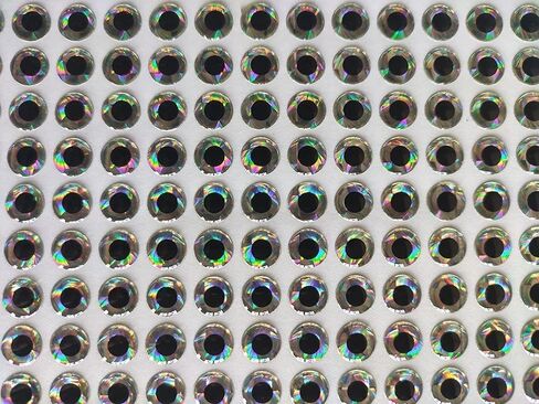 6mm 310Pcs Silver 3D Soft Holographic Fishing Lure Jig Fly Tying Material Craft Doll DIY Eyes,for Fishing Lure Making Kit Holographic Fishing Accessories for Fishing Baits in Kuwait