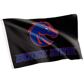 Desert Cactus Boise State University Flag Broncos The Blue Flags Banners 100% Polyester Indoor Outdoor 3x5 (Style B)