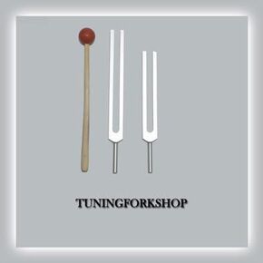C & G Whole Body Tuning Fork Set with Mallet+Pouch