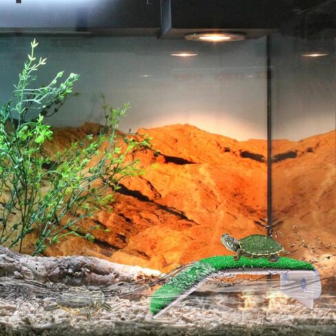 Lawn Basking Platform for Turtle, Simulated Grass Terrace, Tortoise Ramp Climbing Ladder Resting Terrace,Tanks Accessories for Small Reptile Frogs,Medium in Kuwait
