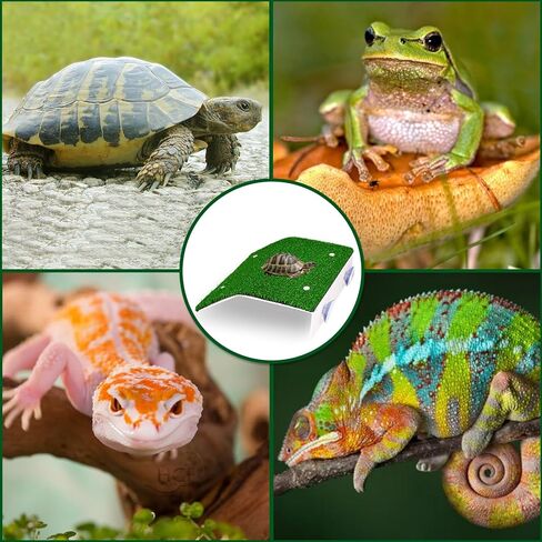 Lawn Basking Platform for Turtle, Simulated Grass Terrace, Tortoise Ramp Climbing Ladder Resting Terrace,Tanks Accessories for Small Reptile Frogs,Medium in Kuwait