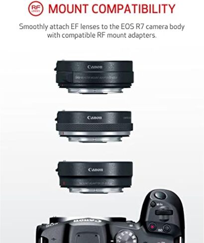 هيكل كاميرا Canon EOS R7 بدون مرآة، مستشعر APS-C CMOS بدقة 32.5 ميجابكسل، فيديو 4K60، Dual Pixel CMOS AF II، IBIS، Wi-Fi/Bluetooth، حزمة مع بطاقة 64 جيجابايت، طقم فلتر، بطارية إضافية، ضمان لمدة عام in Kuwait
