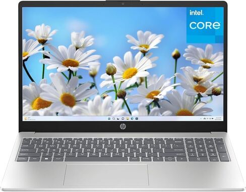 كمبيوتر محمول HP مقاس 15.6 بوصة • إصدار 2026 • Copilot AI • وحدة معالجة مركزية Intel 4-Core N100 • ذاكرة DDR4 بسعة 8 جيجابايت • فتحة PCIe بسعة 240 جيجابايت • شحن سريع • WiFi 6 وBluetooth 5.3 • Windows 11 • فضي طبيعي (متجدد) in Kuwait