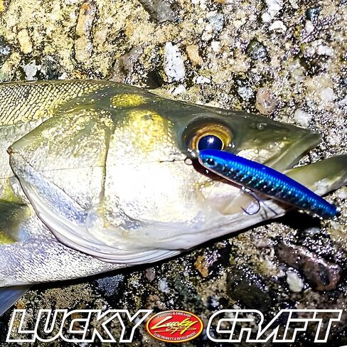 LUCKY CRAFT SW Wander 80 / مؤشر بدون شفاه 80، طعم قلم رصاص مغمور بالمياه المالحة، طعم صيد 11.5 جرام لسمك الهلبوت، باس البحر، طعم انزلاقي لمعدات صيد الأسماك وصندوق الأدوات in Kuwait