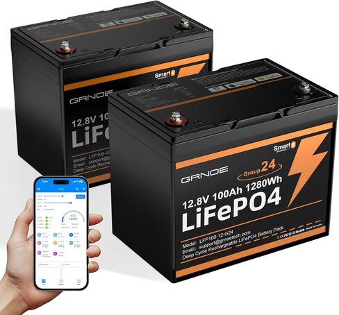 بطارية بلوتوث LiFePO4 بقدرة 12 فولت و100 أمبير في الساعة، عبوتان، طاقة إجمالية 2560 وات في الساعة، مراقبة BMS ذكية، أكثر من 15000 دورة عميقة، مجموعة خفيفة الوزن 24 بطارية ليثيوم للمركبات الترفيهية والمقطورة والبحرية والطاقة الشمسية وخارج الشبكة in Kuwait