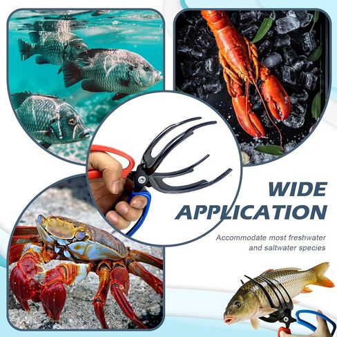4 Packs 2/3 Claw Fish Gripper, Fish Grabber, Metal Fishing Pliers, Fish Grip Tackle Holder, Multifunctional Fishing Control Clamp, Forceps for Grip Most Freshwater in Kuwait