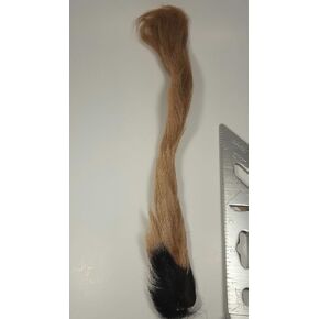 Hareline Calf Tail TAN in Kuwait