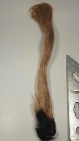 Hareline Calf Tail TAN in Kuwait