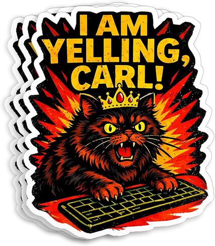 (3 قطع - 2 بوصة) ملصقات I Am Yelling Carl، ملصق من الفينيل المقاوم للماء مقطوع على شكل أميرة مضحكة على شكل كعكة الدونات، ملصق من الفينيل المقاوم للماء للكمبيوتر المحمول وزجاجة المياه والهاتف والسيارات Kindle ملصق هدايا مقاس 5 سم in Kuwait