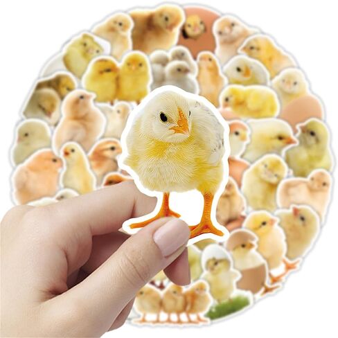 مجموعة ملصقات Cute Chicks - 50 قطعة من الملصقات المقاومة للماء للهدايا، وسجلات القصاصات، والكمبيوتر المحمول، وزجاجات المياه، وألواح التزلج، والهاتف المحمول (Colourful-E1) in Kuwait
