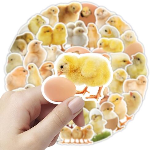 مجموعة ملصقات Cute Chicks - 50 قطعة من الملصقات المقاومة للماء للهدايا، وسجلات القصاصات، والكمبيوتر المحمول، وزجاجات المياه، وألواح التزلج، والهاتف المحمول (Colourful-E1) in Kuwait