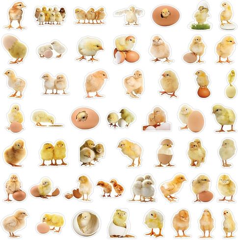 مجموعة ملصقات Cute Chicks - 50 قطعة من الملصقات المقاومة للماء للهدايا، وسجلات القصاصات، والكمبيوتر المحمول، وزجاجات المياه، وألواح التزلج، والهاتف المحمول (Colourful-E1) in Kuwait
