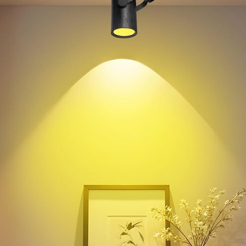 Ciieeo 5-Piece Color Correction Light Filter Sheets, 4-Inch Round Warm Tint Gel Film for LED Downlights and Spotlights, Heat Resistant PET Lighting Overlays in Kuwait