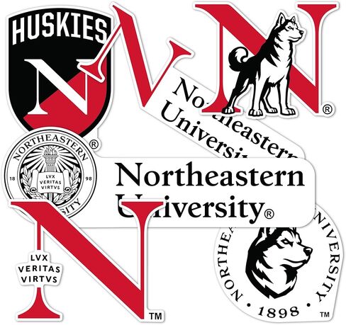 ملصق جامعة نورث إيسترن صبار الصحراء Huskiesr شارات الفينيل زجاجة مياه للكمبيوتر المحمول ورقة قصاصات السيارة T2 (النوع 2-4) in Kuwait