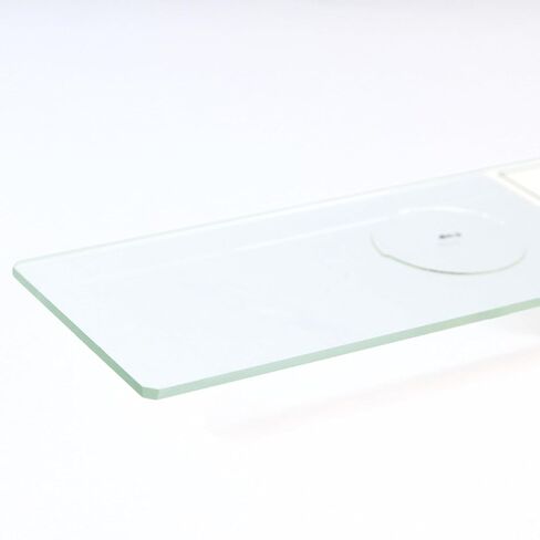 Eisco - Prepared Microscope Slide of Pine Needle Leaf Cross Section 25x77mm Glass Slide Stained for Plant Structure Visualization in Kuwait