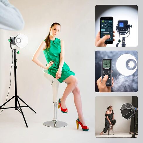 Weeylite Ninja 300 80W LED Video Light, 5600K Daylight COB Studio Light, CRI 95+ Continuous Lighting, 0-100% Dimmable, 7800LM Output, Bluetooth App Control, Portable Photography & Video Lighting Kit in Kuwait