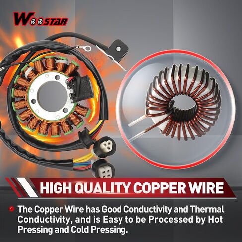WOOSTAR 18 Coil 9 Wire Magneto Stator Replacement for YFM250 Bear Tracker Big Bear Bruin 2001-2009 YFM 660 660R OEM 1P0-H1410-00-00 4XE-81410-00-00 5LP-81410-00-00 5LP-81410-01-00 5LP-81410-02-00 in Saudi Arabia
