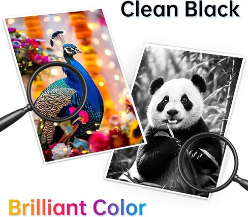 خراطيش حبر 64XL باللون الأسود واللون متوافقة مع حزمة التحرير والسرد لخرطوشة الحبر HP Ink 64 لحبر HP64 XL مناسبة لطابعة Envy Photo 7855 7858 7155 7120 7800 6252 6255 7158 7100 7164 Tango Series Printer (عبوتان) in Kuwait