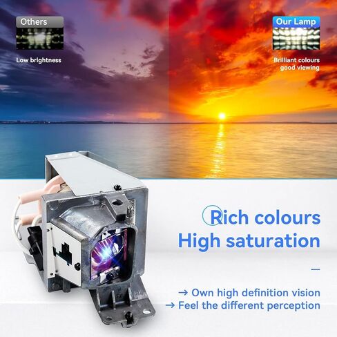 BL-FU195A FU195B FU195C مصباح ضوئي بديل لـ OPTOMA HD142X HD27 DW441 H115 S341 TW342 W340 W341 W345 W355 X341 X345 X355 DS421 DS431 EH331 H114 H183X S321 S331 in Kuwait