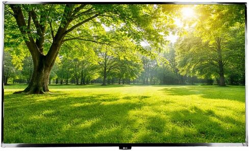 LG 43" 4K UHD LCD Digital Signage Display - Black in Kuwait