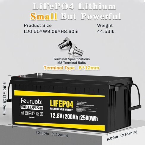 بطارية ليثيوم LiFePO4 12 فولت 200 أمبير، مدمجة 200 أمبير BMS، تخزين طاقة 2560 وات في الساعة، بطارية فوسفات الحديد 8000-15000 ذات دورات عميقة للطاقة الشمسية، محرك التصيد، RV (قطعتان) in Saudi Arabia