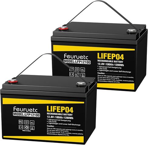 بطارية ليثيوم LiFePO4 12 فولت 200 أمبير، مدمجة 200 أمبير BMS، تخزين طاقة 2560 وات في الساعة، بطارية فوسفات الحديد 8000-15000 ذات دورات عميقة للطاقة الشمسية، محرك التصيد، RV (قطعتان) in Saudi Arabia