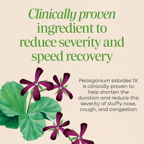 Nature's Way Umcka Allergy+Sinus Homeopathic, Sneezing, Runny Nose, Congestion, and Sinus Pressure**, Phenylephrine Free, Non-Drowsy, Cherry Flavored, 20 Chewable Tablets in Saudi Arabia