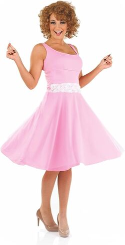 fun shack Baby Dancing Movie Costume Women, Dancing Movie Dress, Dancing Pink Dress, Pink Vintage Dress for Women in Saudi Arabia
