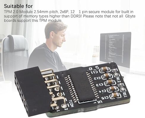 وحدة TPM 2.0، وحدة أمان تشفير 2 X 6P 12-1 Pin للوحات الأم المزودة بذاكرة DDR4 ذات توافق واسع in Kuwait