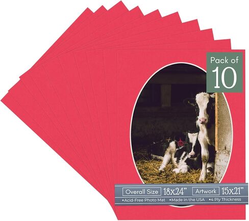 CountryArtHouse Metallic Gold Acid Free 18x24 Oval Picture Frame Mat with White Core Bevel Cut for 15x21 Pictures - Fits 18x24 Frame - Pack of 1 Matboard in Saudi Arabia