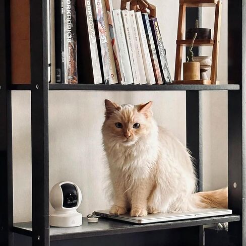 Indoor Pan/Tilt Smart Security Camera, 1080p HD Dog-Camera,2.4GHz with Night Vision,Motion Detection for Baby and Pet Monitor, Cloud & SD Card Storage, Compatible with Alexa& Google Home, White in Kuwait