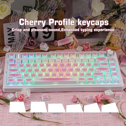 Sunzit 130 مفتاحًا مطبوعًا جانبيًا PBT Keycap PBT مجموعة أغطية المفاتيح PBT، تتألق من خلال أغطية المفاتيح المخصصة، غطاء مفاتيح ذو مظهر الكرز المصبوغ للوحة المفاتيح الميكانيكية MX Switches in Kuwait