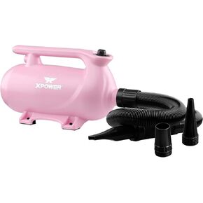 XPOWER B-123 Pet Dryer - Adjustable Speed and Temperature Control Dog Blow Dryer, Pet Hair Dryer with 3 Nozzle (Mint Green)