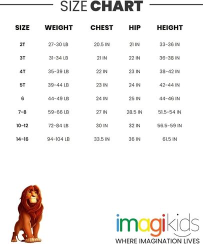 مجموعة ملابس ديزني Lion King المتطابقة للعائلة، رومبير Mommy & Me، فستان وسروال طويل بطبعة جغرافية، من حديثي الولادة إلى البالغين in Kuwait