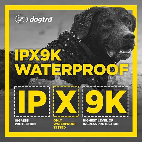 Dogtra 1900s Black Edition مع Boost & Lock - طوق النباح للكلاب الكبيرة، طوق تدريب الكلاب بمدى ميل واحد مع جهاز تحكم عن بعد، طوق صدمات مقاوم للماء بدرجة IPX9K، قابل لإعادة الشحن مع الكهرباء الساكنة والاهتزاز in Kuwait