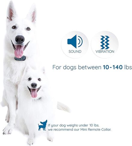 GoodBoy Mini No Shock Remote Collar for Dogs with Beep and Vibration Modes for Pet Behaviour Training - Waterproof & 1000 Feet Range - Suitable for Small to Medium Dogs (2 Collars) in Kuwait