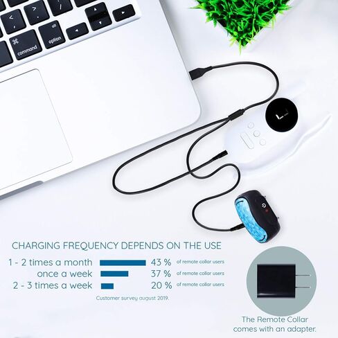 GoodBoy Mini No Shock Remote Collar for Dogs with Beep and Vibration Modes for Pet Behaviour Training - Waterproof & 1000 Feet Range - Suitable for Small to Medium Dogs (2 Collars) in Kuwait