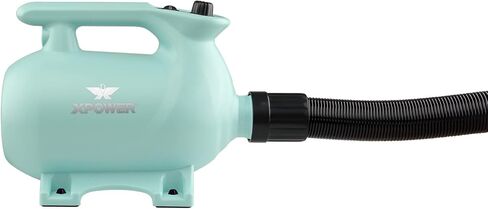 XPOWER B-123 Pet Dryer - Adjustable Speed and Temperature Control Dog Blow Dryer, Pet Hair Dryer with 3 Nozzle (Mint Green) in Kuwait