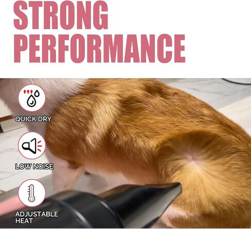 XPOWER B-123 Pet Dryer - Adjustable Speed and Temperature Control Dog Blow Dryer, Pet Hair Dryer with 3 Nozzle (Mint Green) in Kuwait