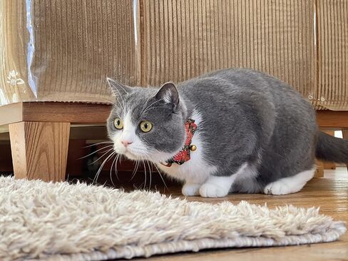 Gilded Gold Bow Tie Cat Collar (Red) in Saudi Arabia